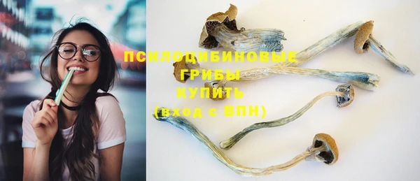 герыч Алексин